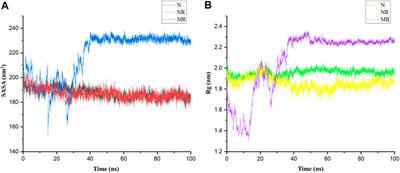 Molecular dynamic simulation reveals the inhibiting impact of Rhein on wild-type and P29S-mutated Rac1